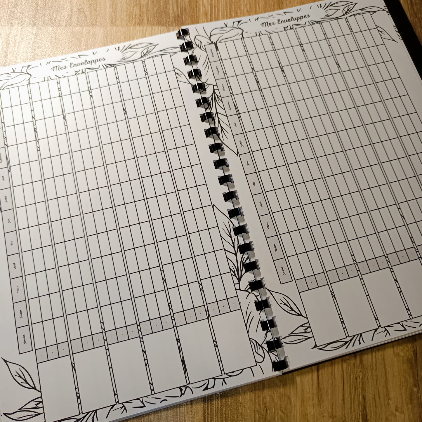 Budget Annuel Feuilles Noir