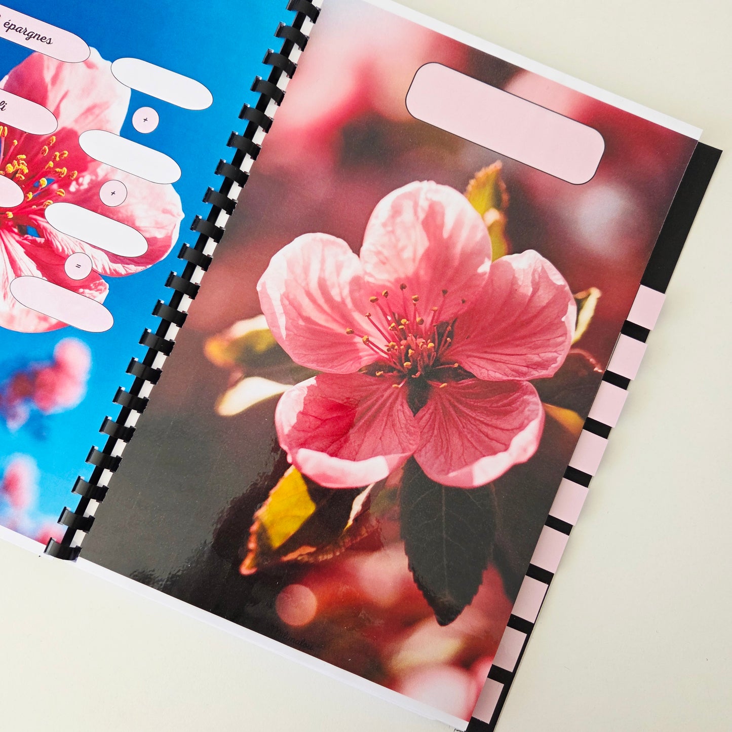 Budget 12 mois Fleurs de Pêcher
