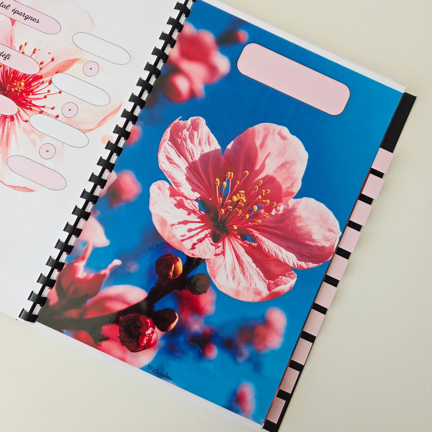 Budget 12 mois Fleurs de Pêcher