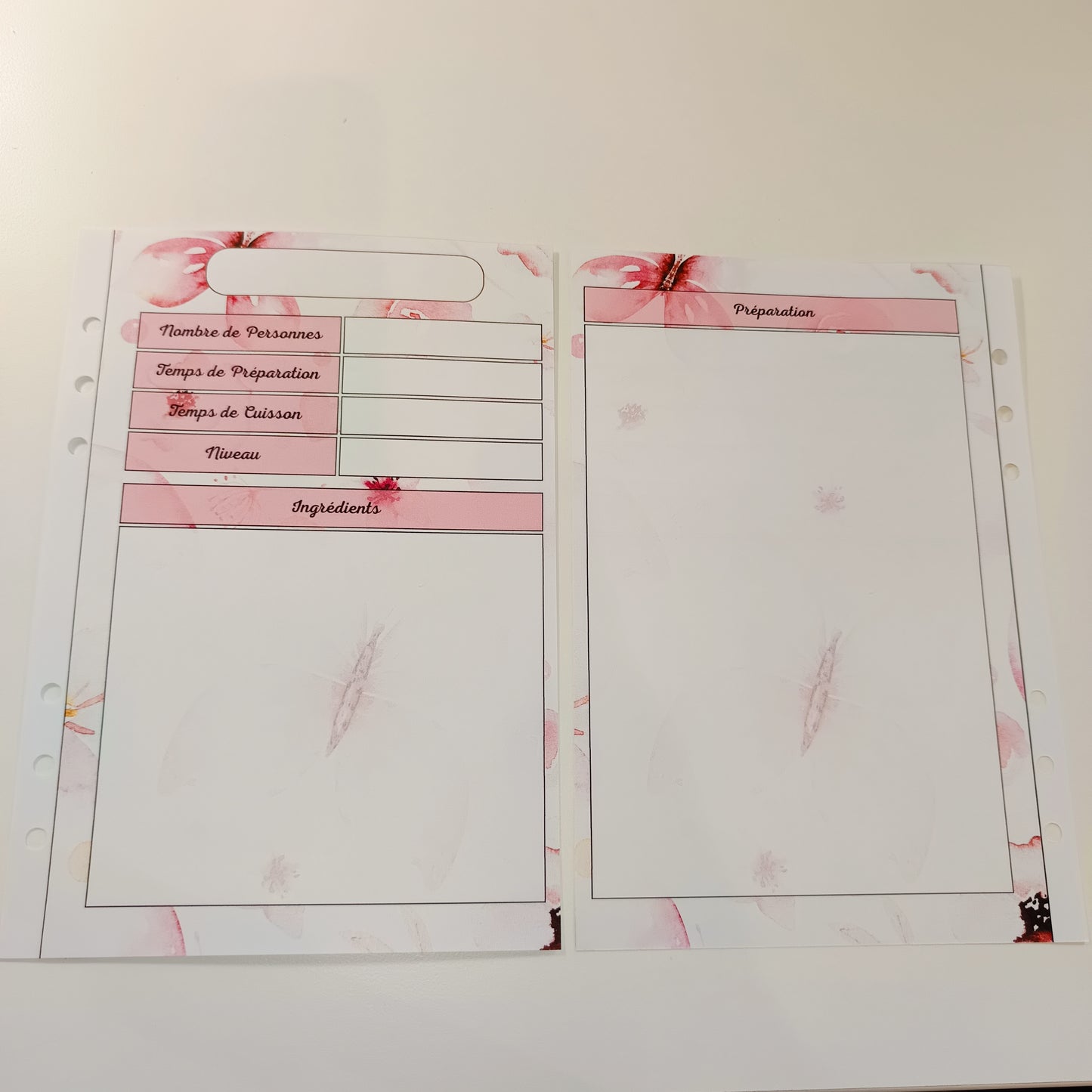 Fiches A5 NON Plastifiées Papillons