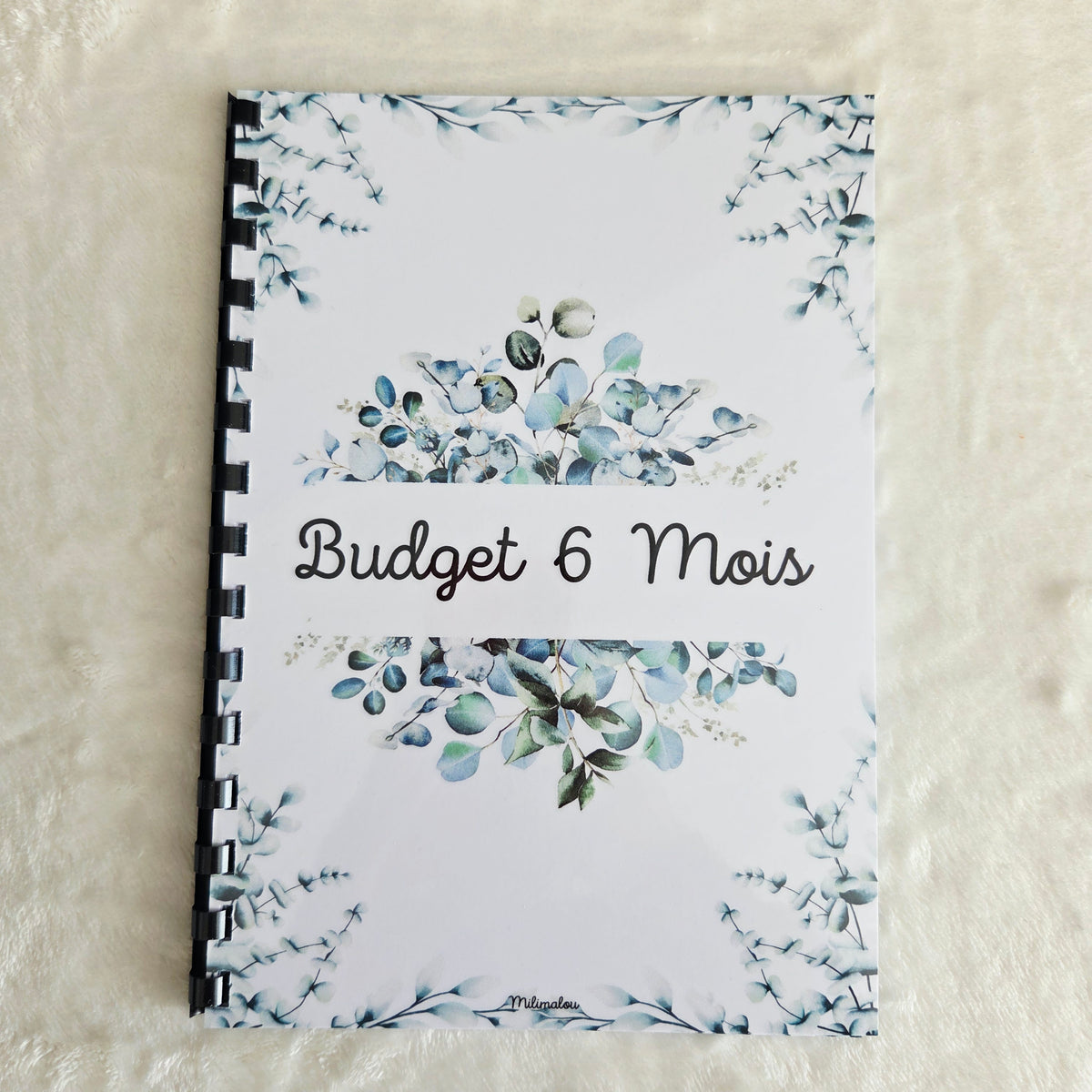Budget 6 Mois A5 Plante