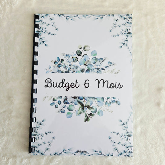 Budget 6 Mois A5 Plante