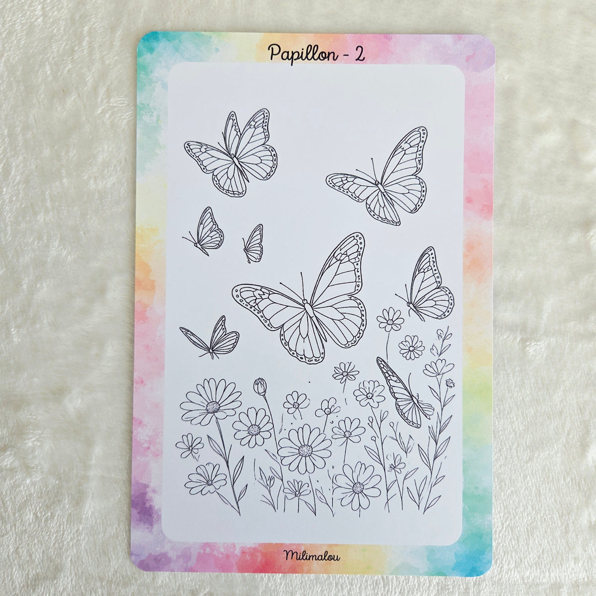 Colo Papillon A5 (Lot de 10)