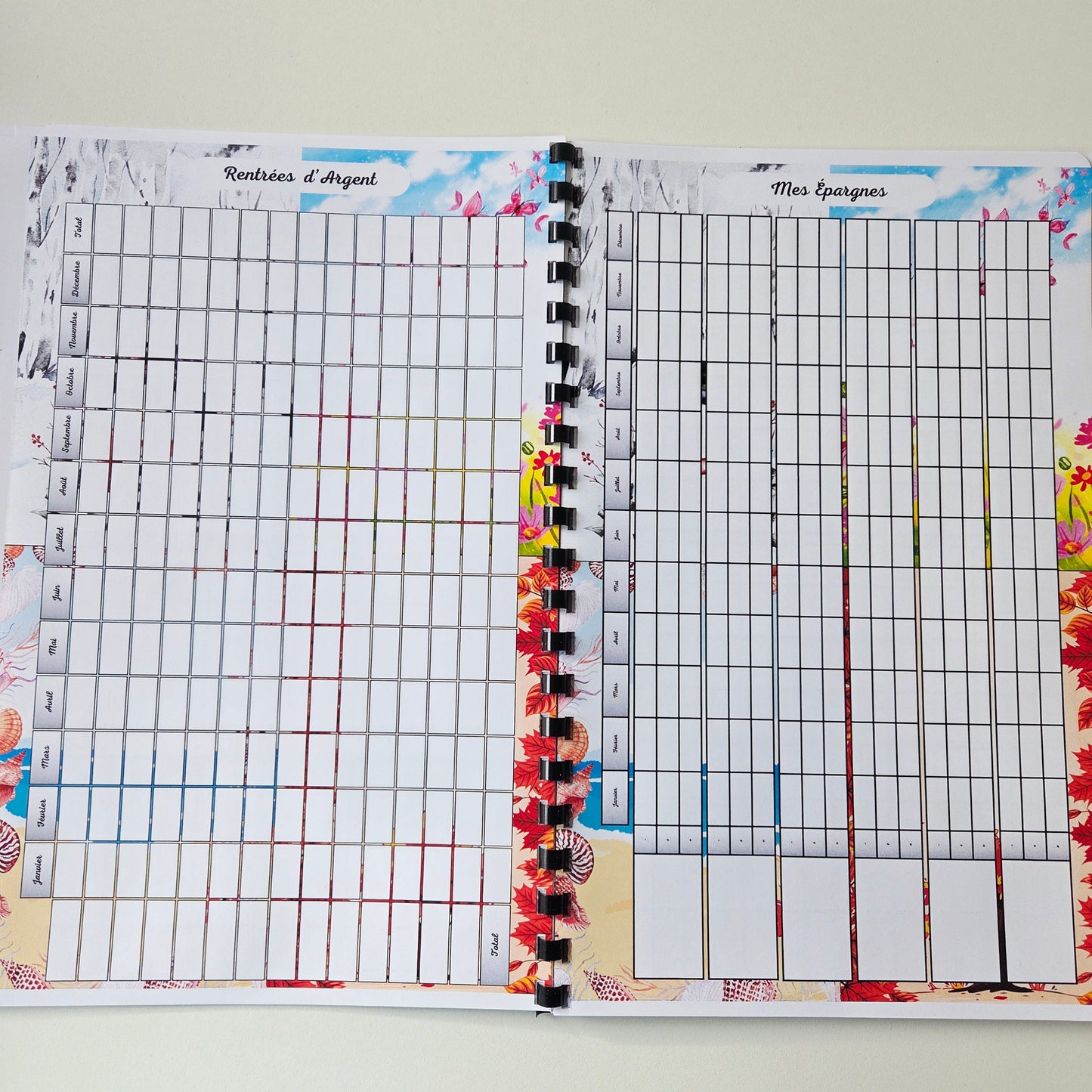 Budget Annuel Saisons