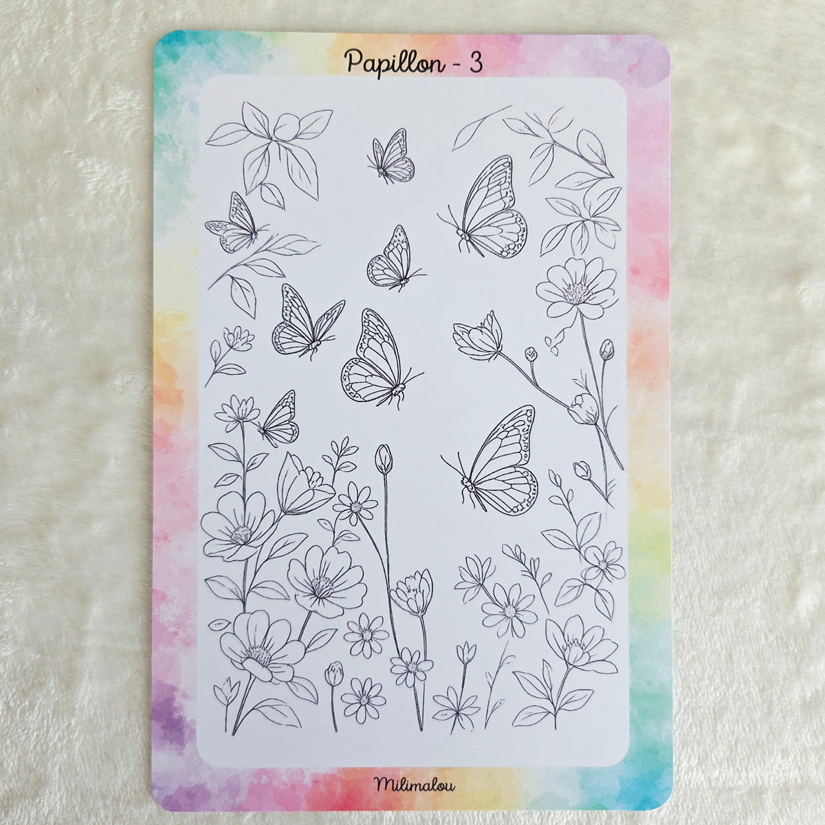 Colo Papillon A5 (Lot de 10)