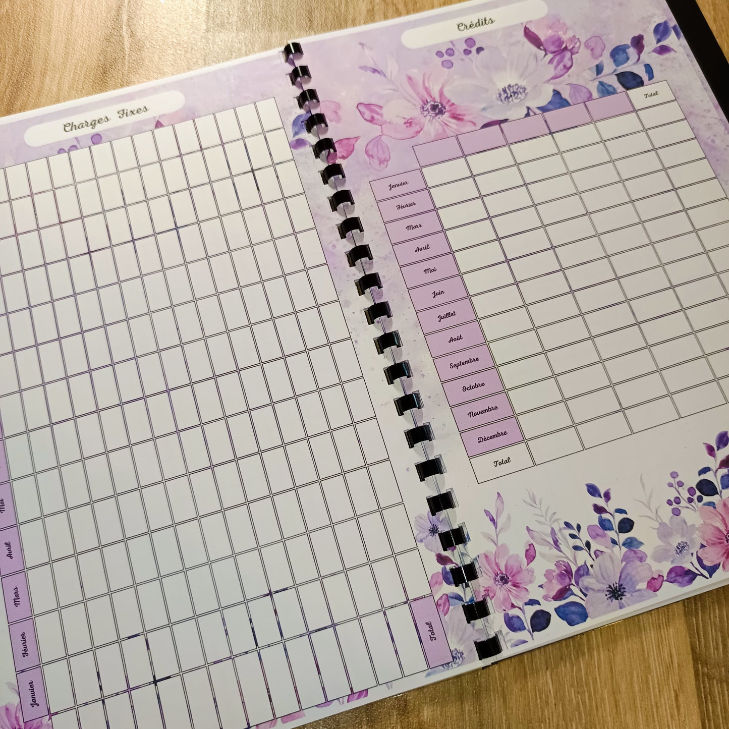 Budget Annuel Violet