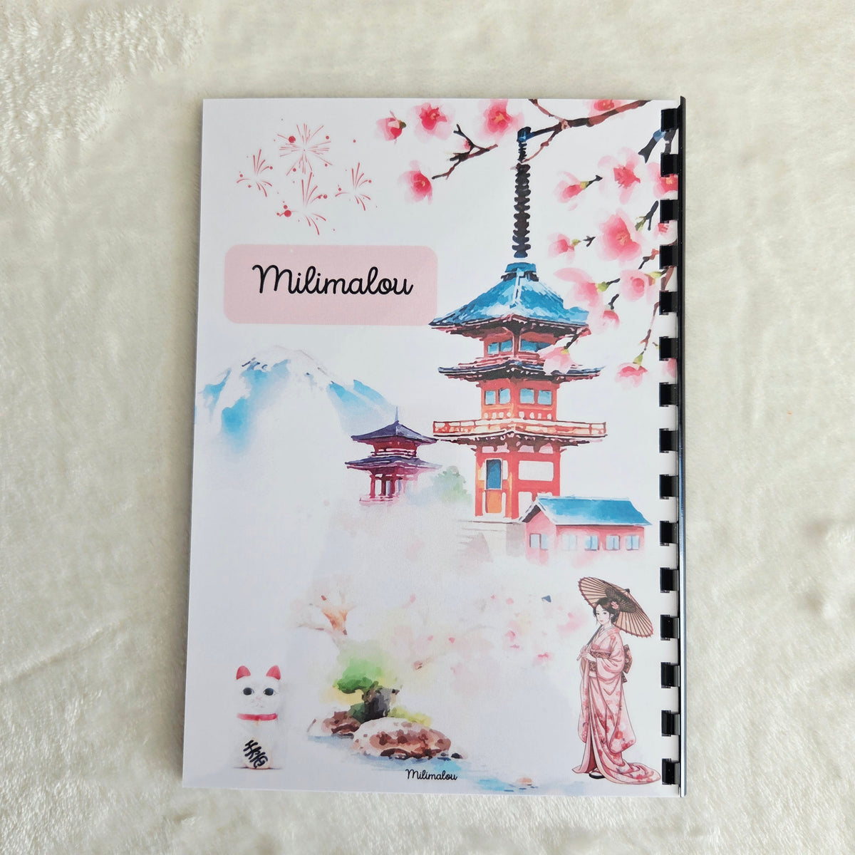 Budget 6 Mois A5 Japon