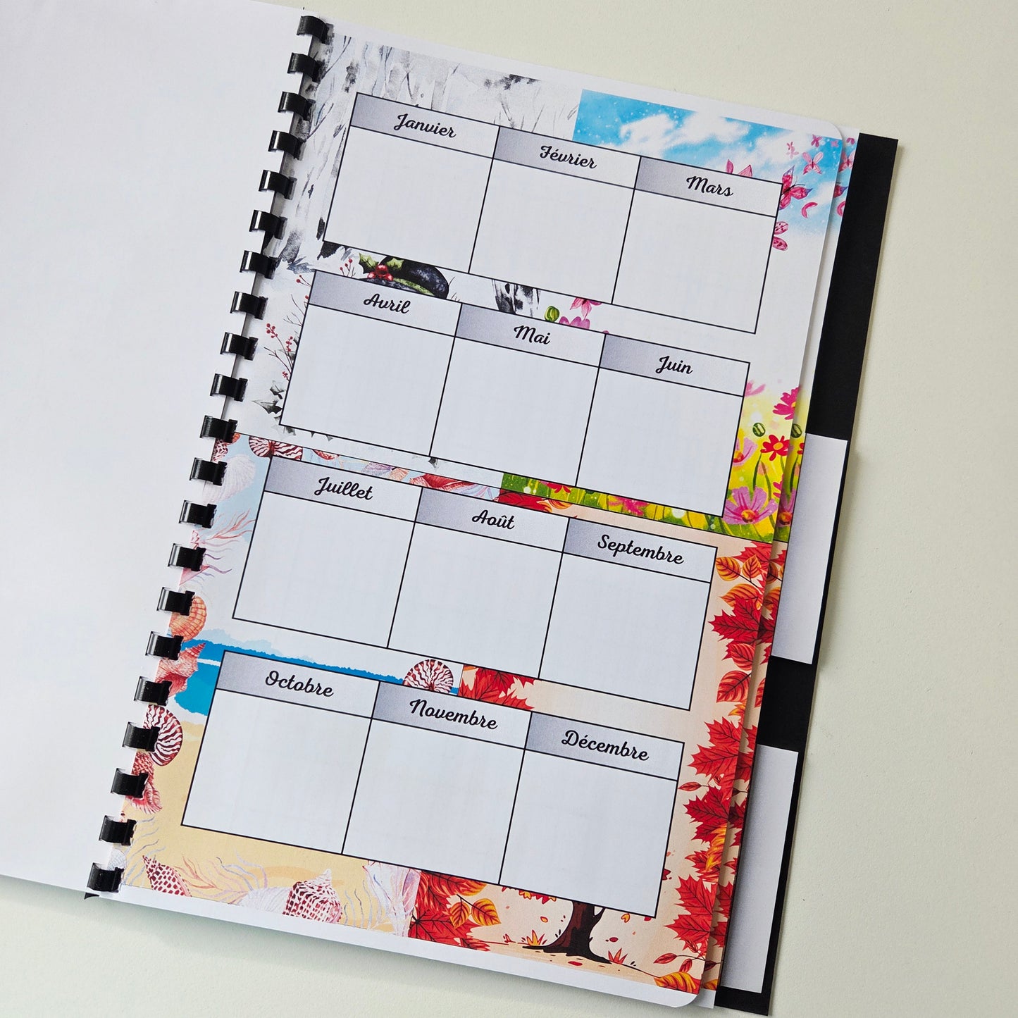 Budget Annuel Saisons