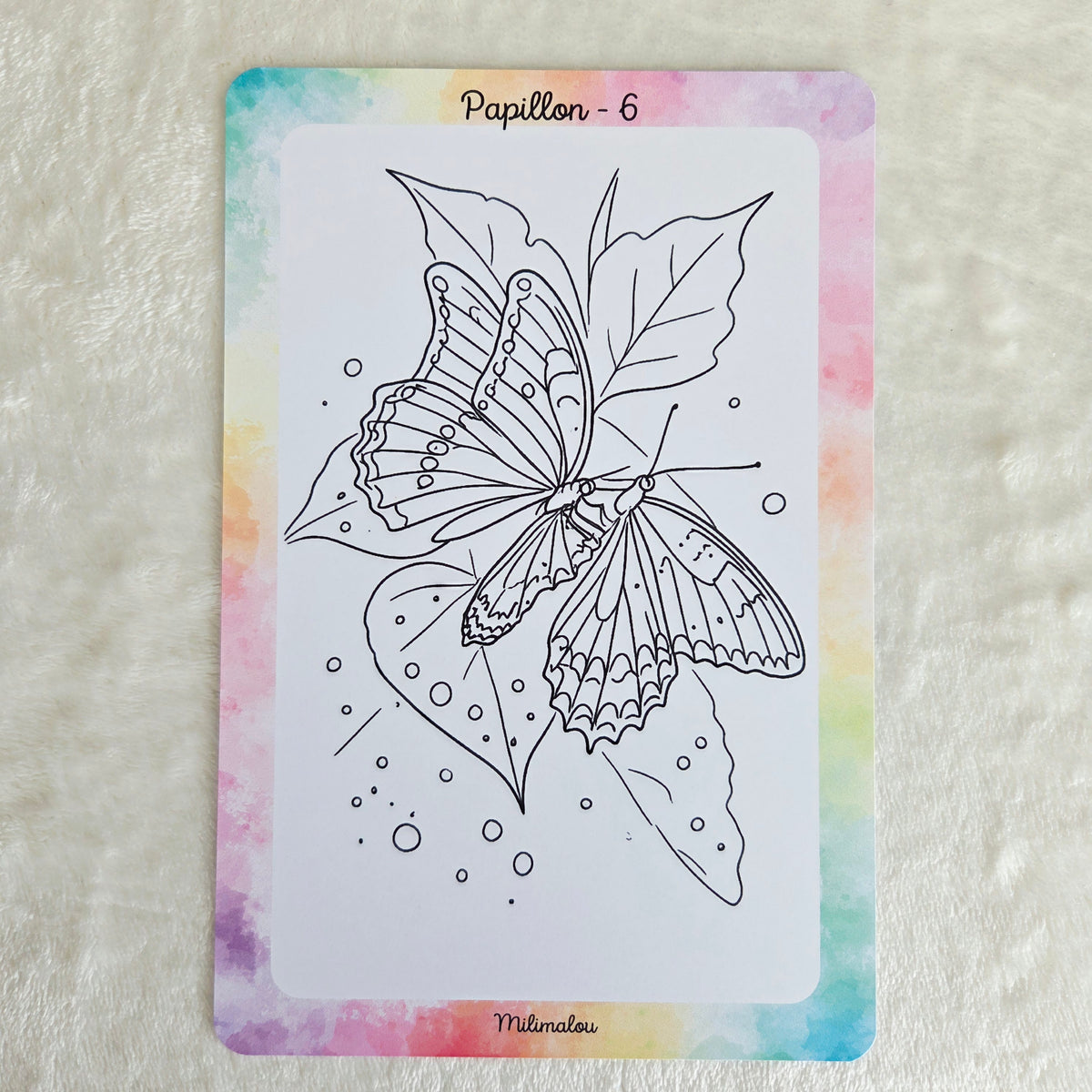 Colo Papillon A5 (Lot de 10)
