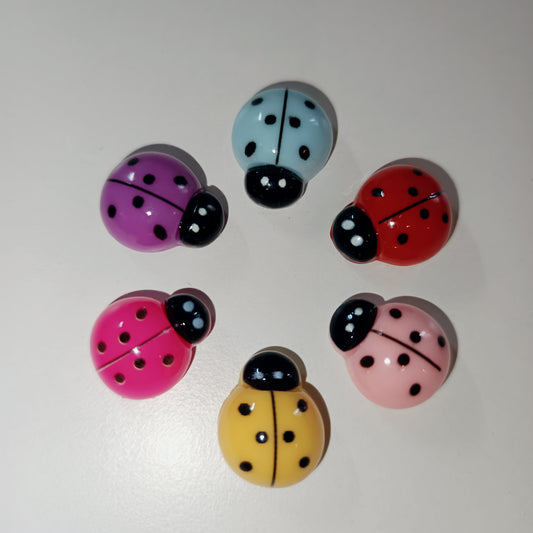 Aimants Coccinelle