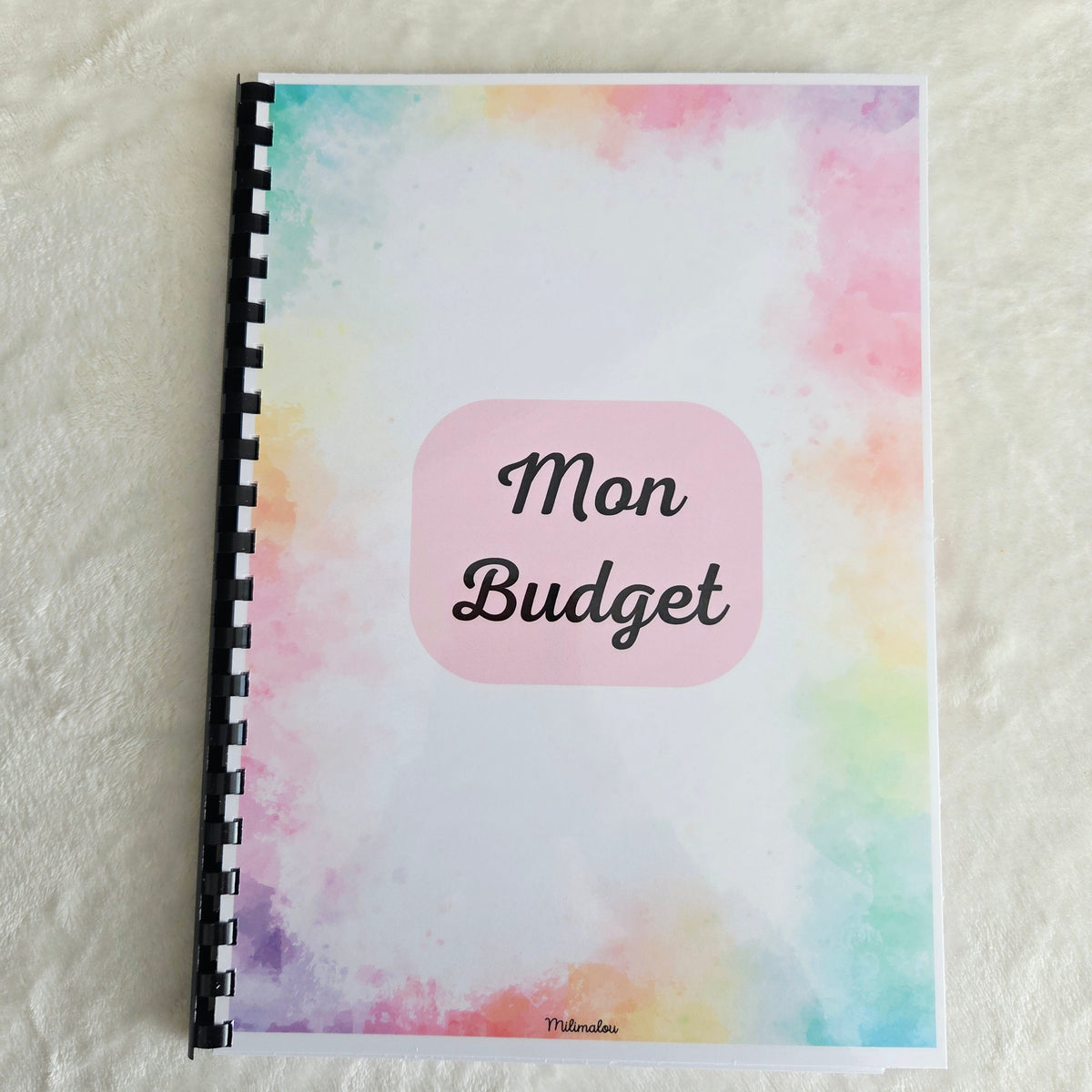 Budget 12 mois Arc en Ciel