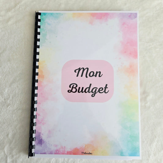 Budget 12 mois Arc en Ciel