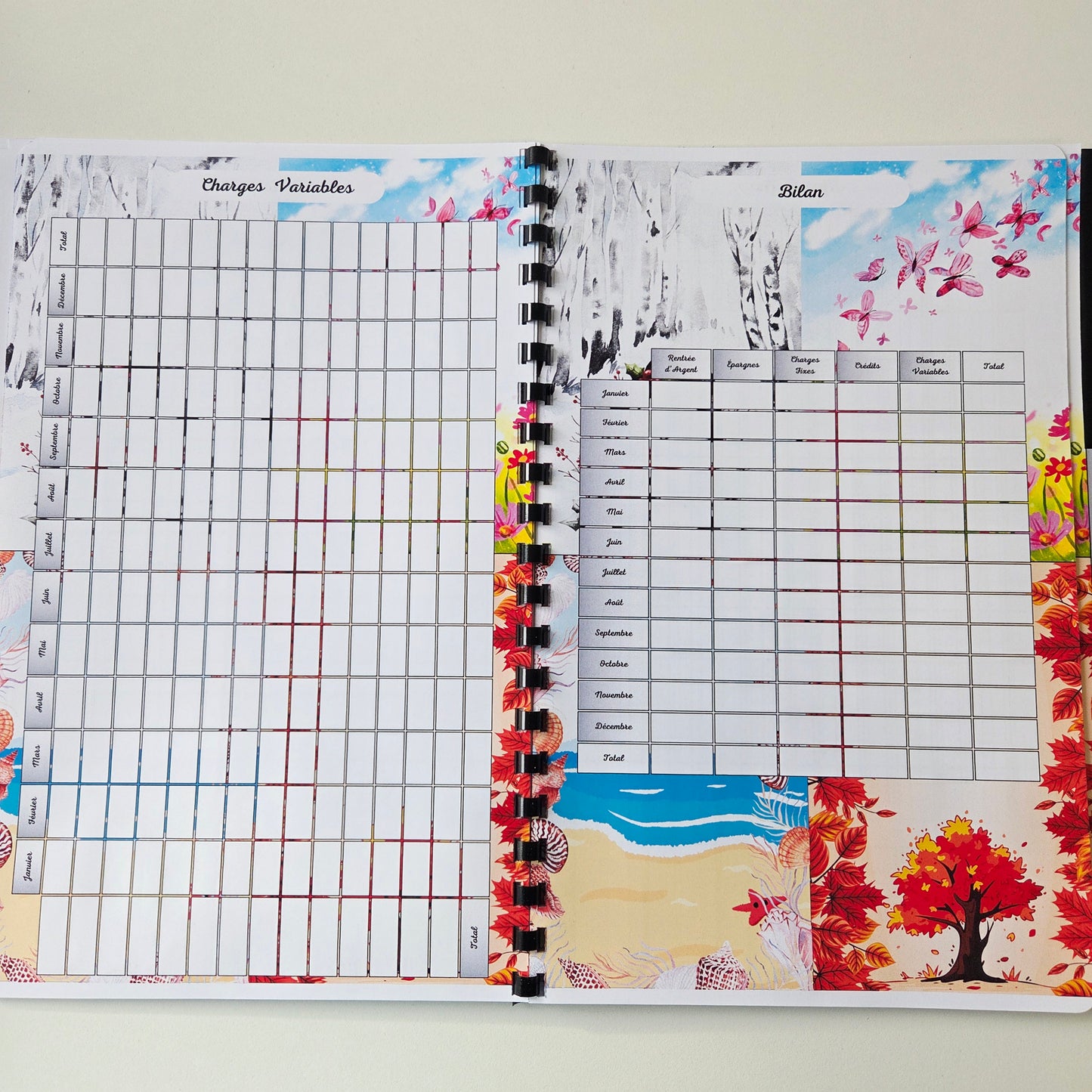 Budget Annuel Saisons