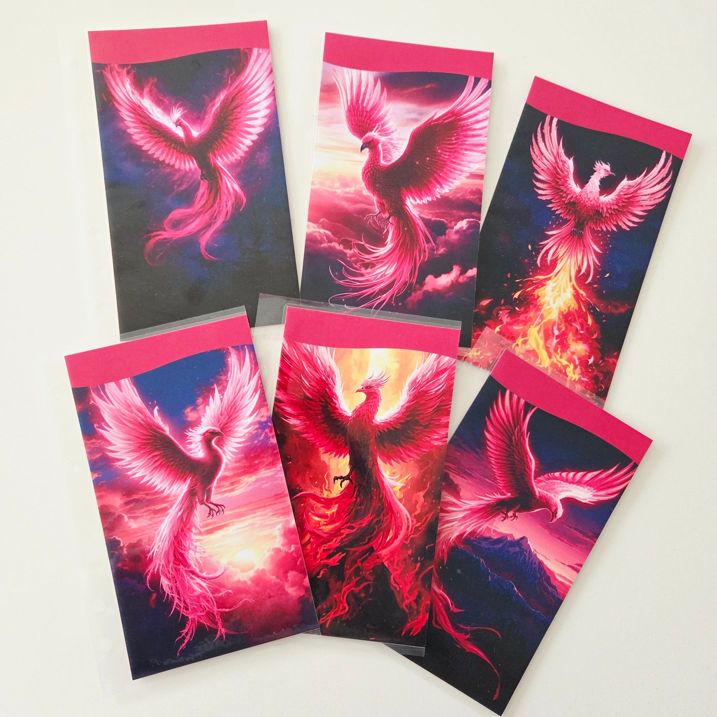 Pack 6 Enveloppes Phénix