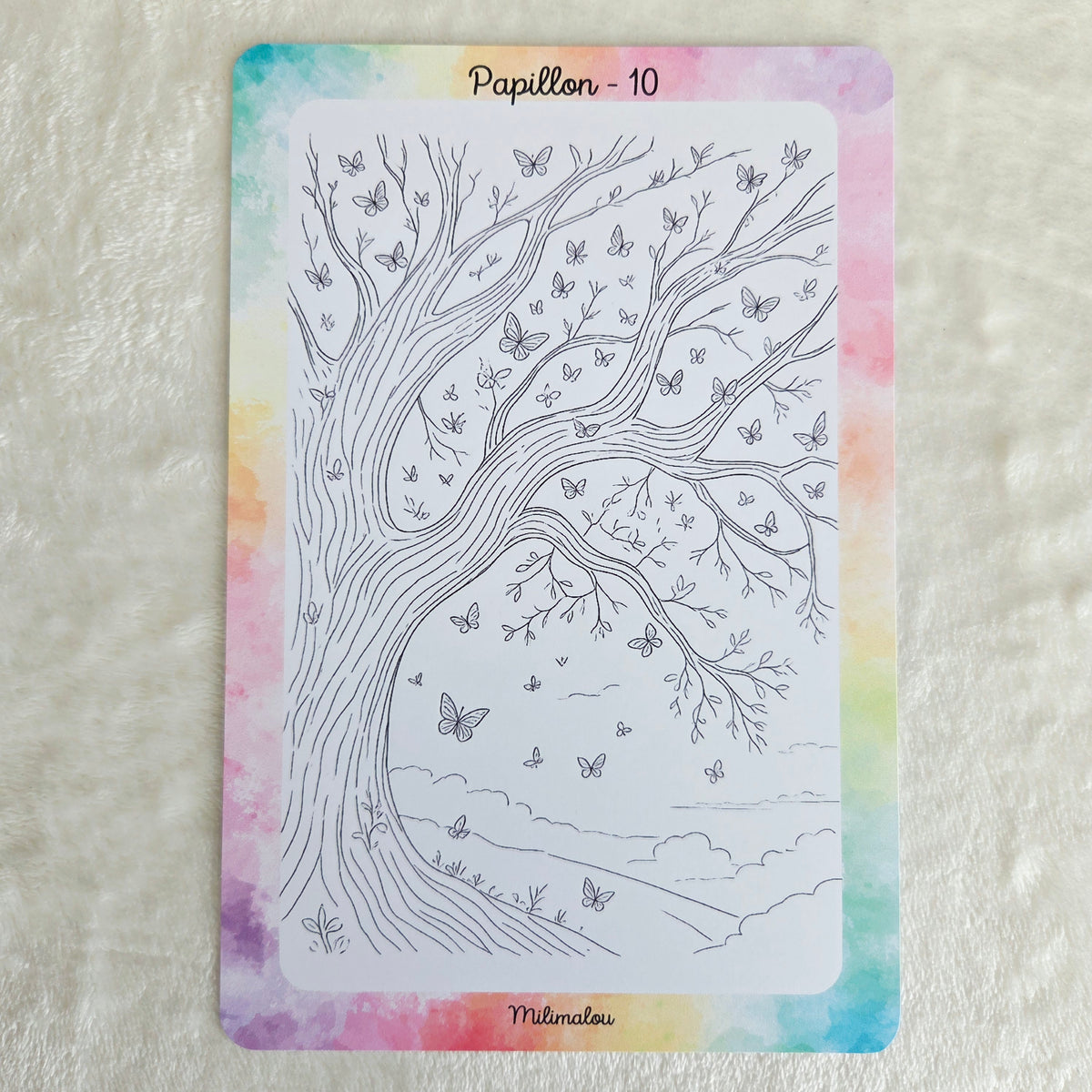 Colo Papillon A5 (Lot de 10)