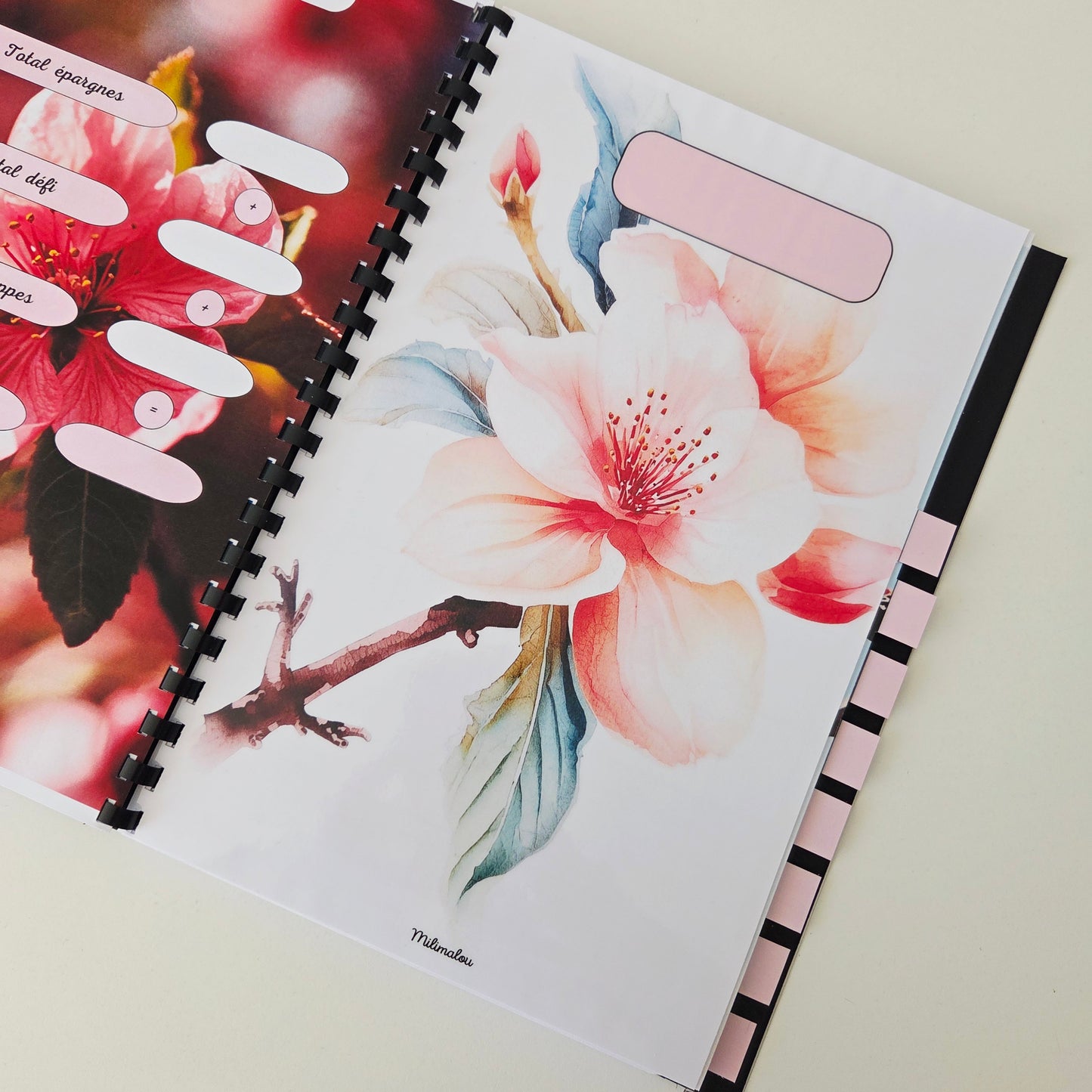 Budget 12 mois Fleurs de Pêcher