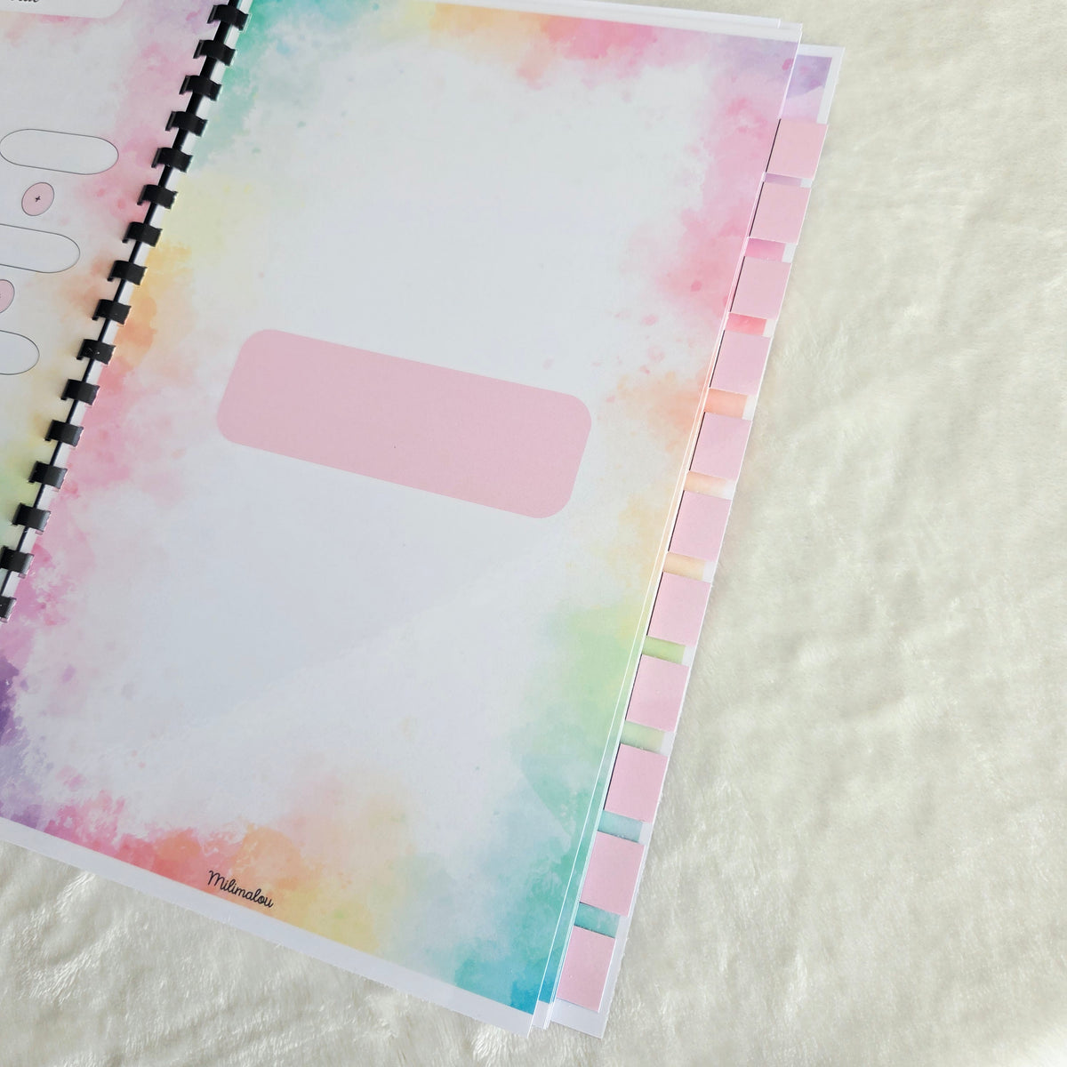 Budget 12 mois Arc en Ciel