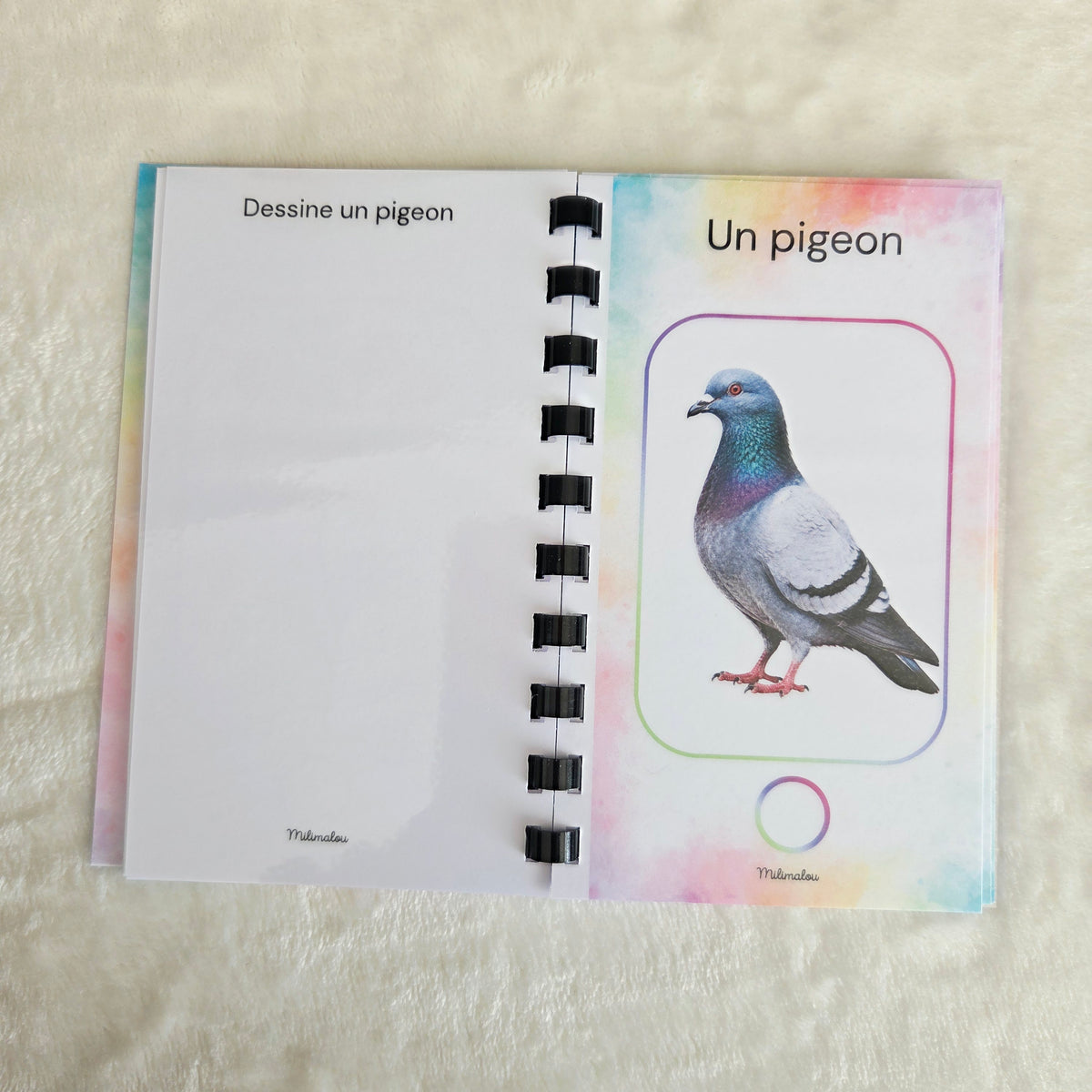 Cherche et Trouve au Parc