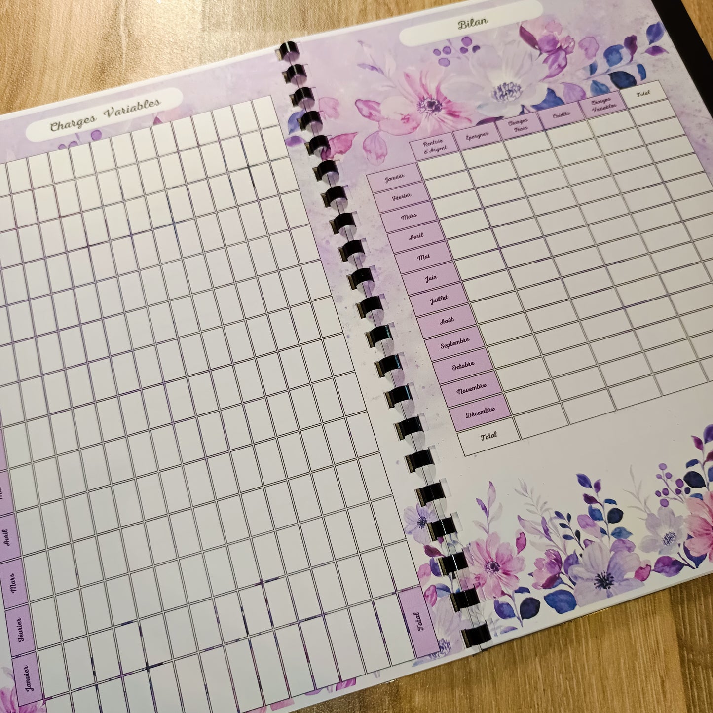 Budget Annuel Violet