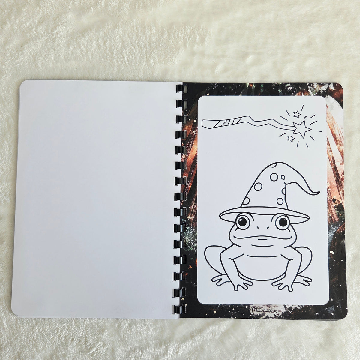 Coloriage A5 Sorcière
