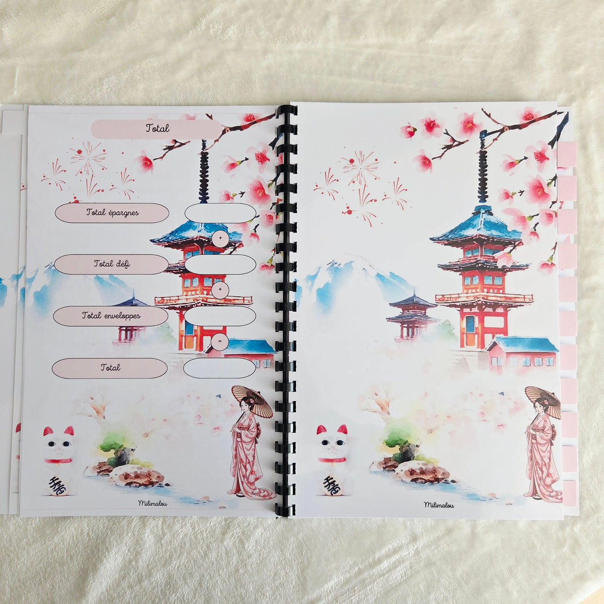 Budget 12 mois Japon