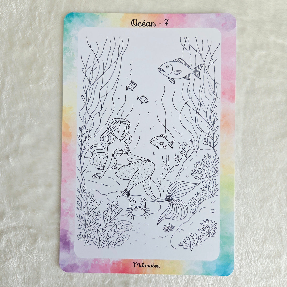 Colo Océan A5 (Lot de 10)