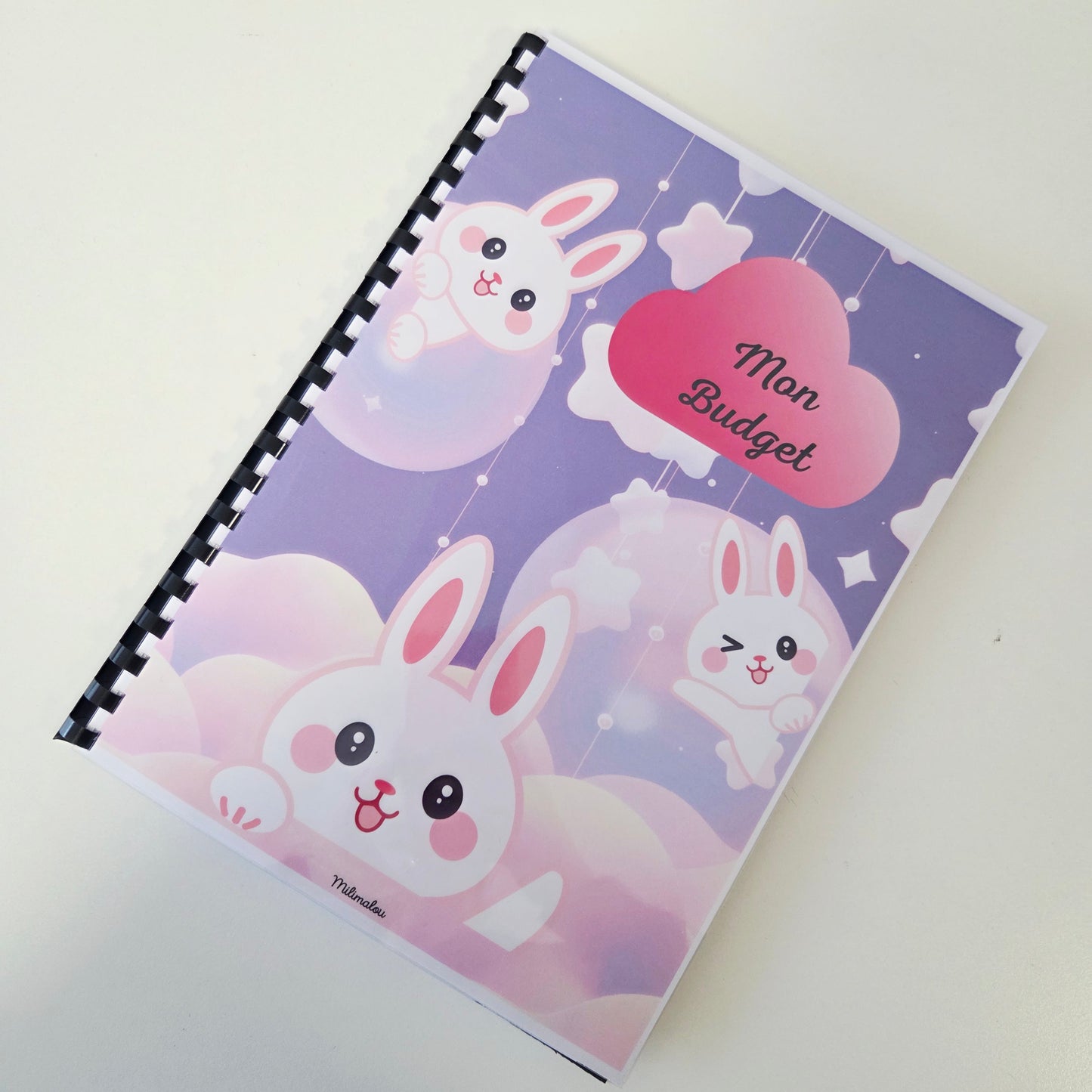 Budget 12 mois Kawaï Lapin