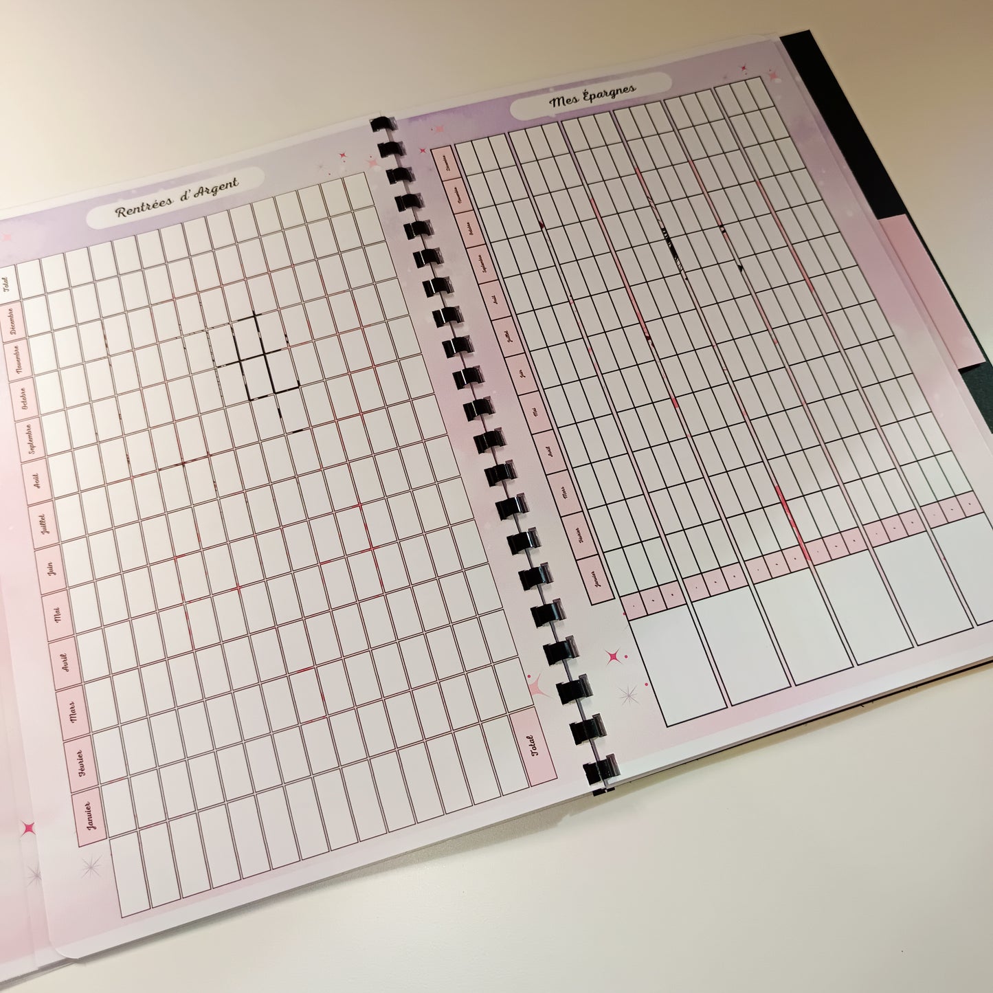 Budget Annuel Rêves