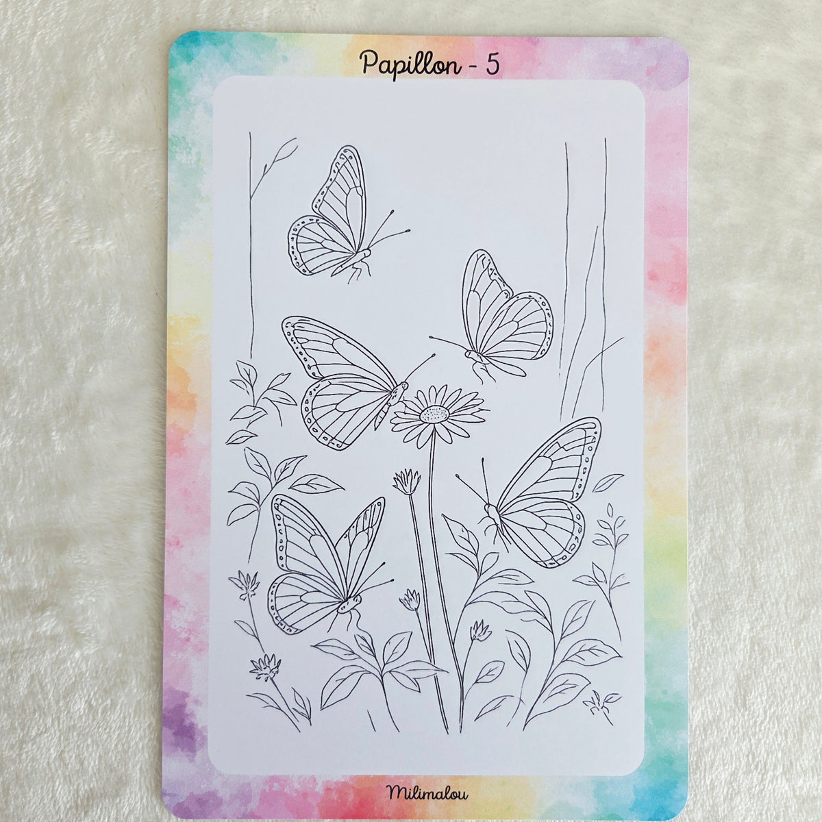 Colo Papillon A5 (Lot de 10)