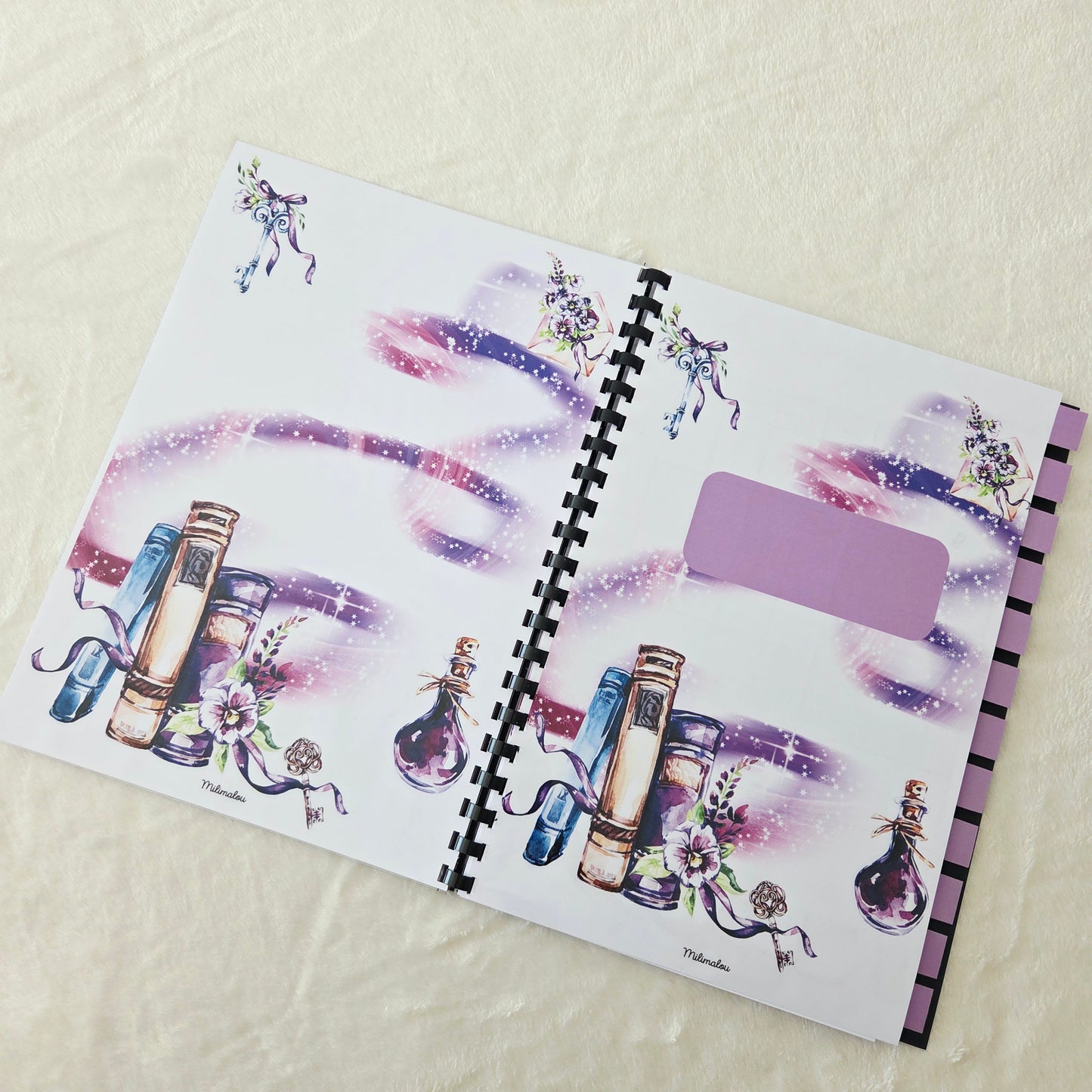 Budget 12 mois Livre Magique