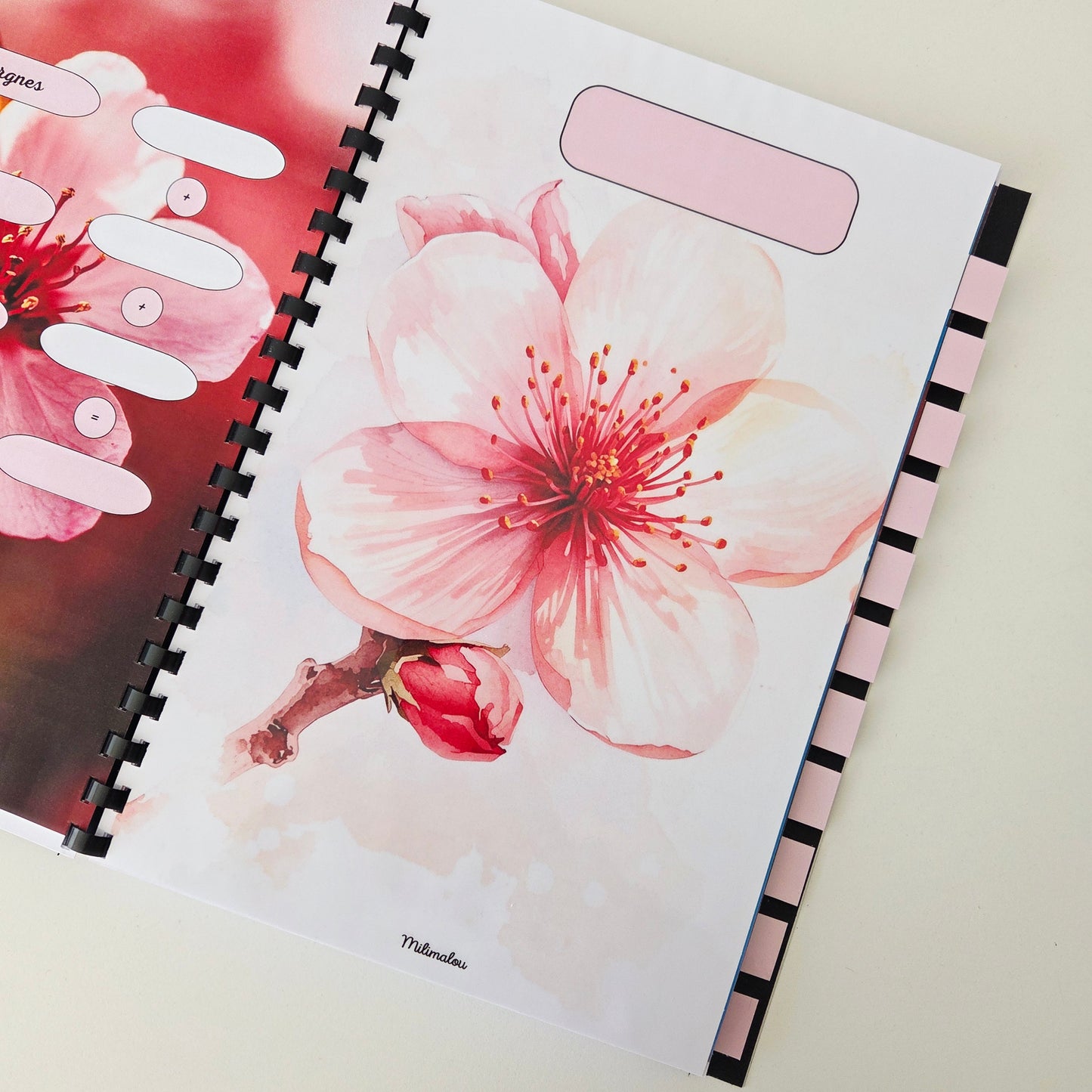 Budget 12 mois Fleurs de Pêcher