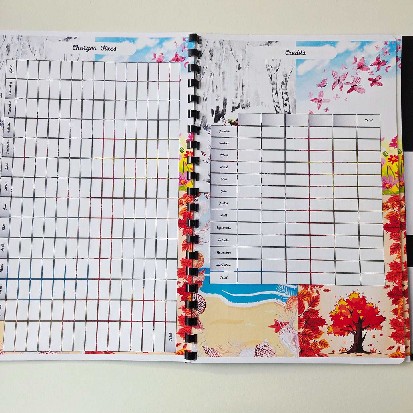 Budget Annuel Saisons