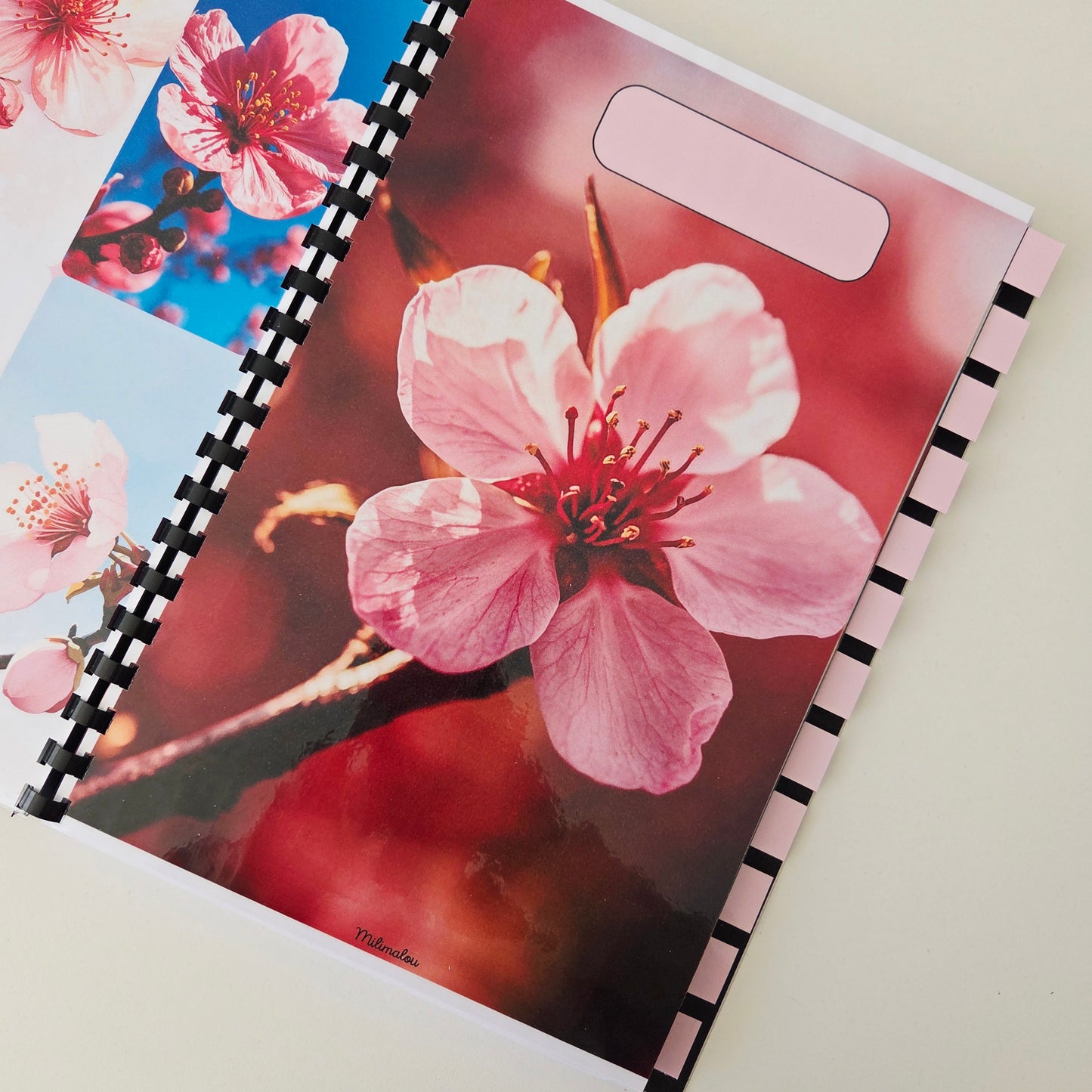 Budget 12 mois Fleurs de Pêcher