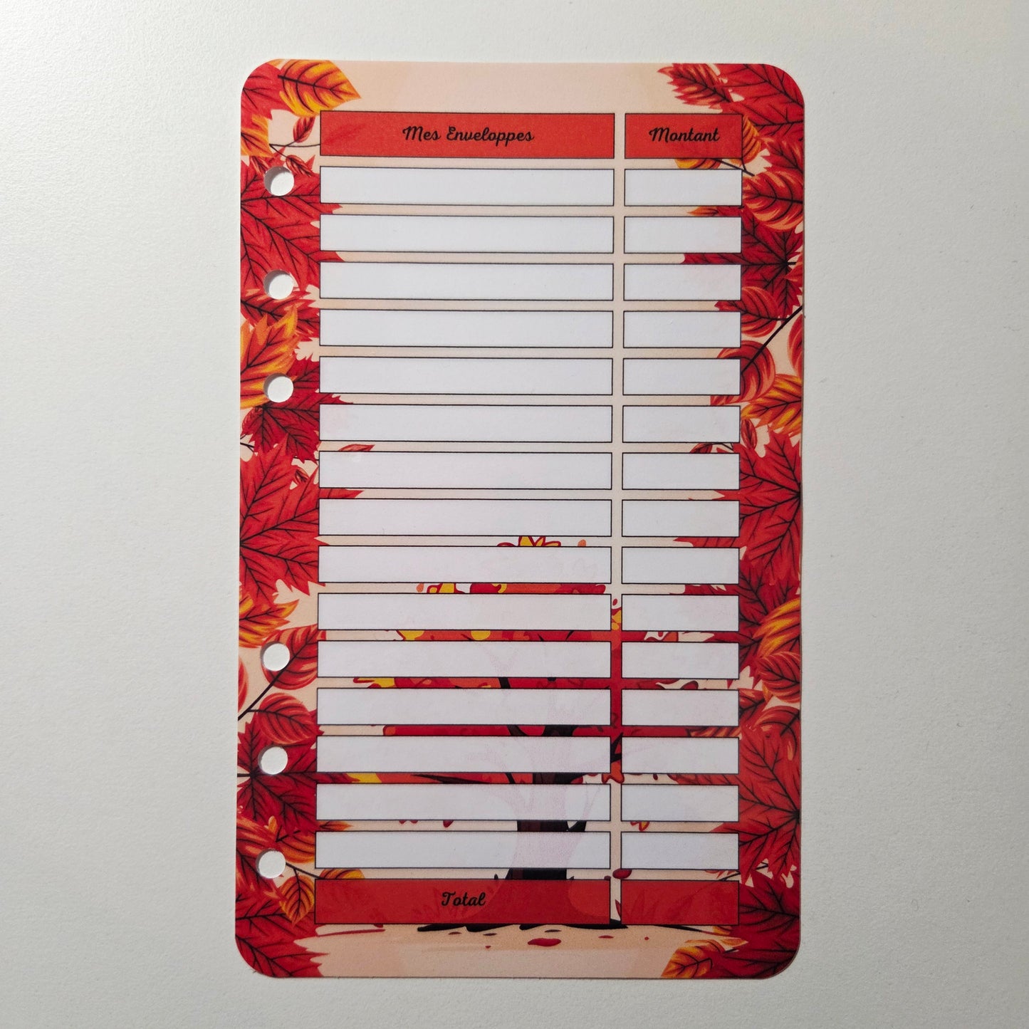 Fiches A5 Mes Enveloppes