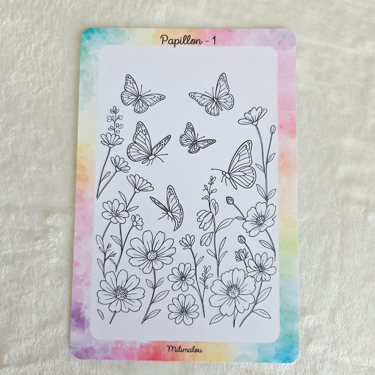 Colo Papillon A5 (Lot de 10)