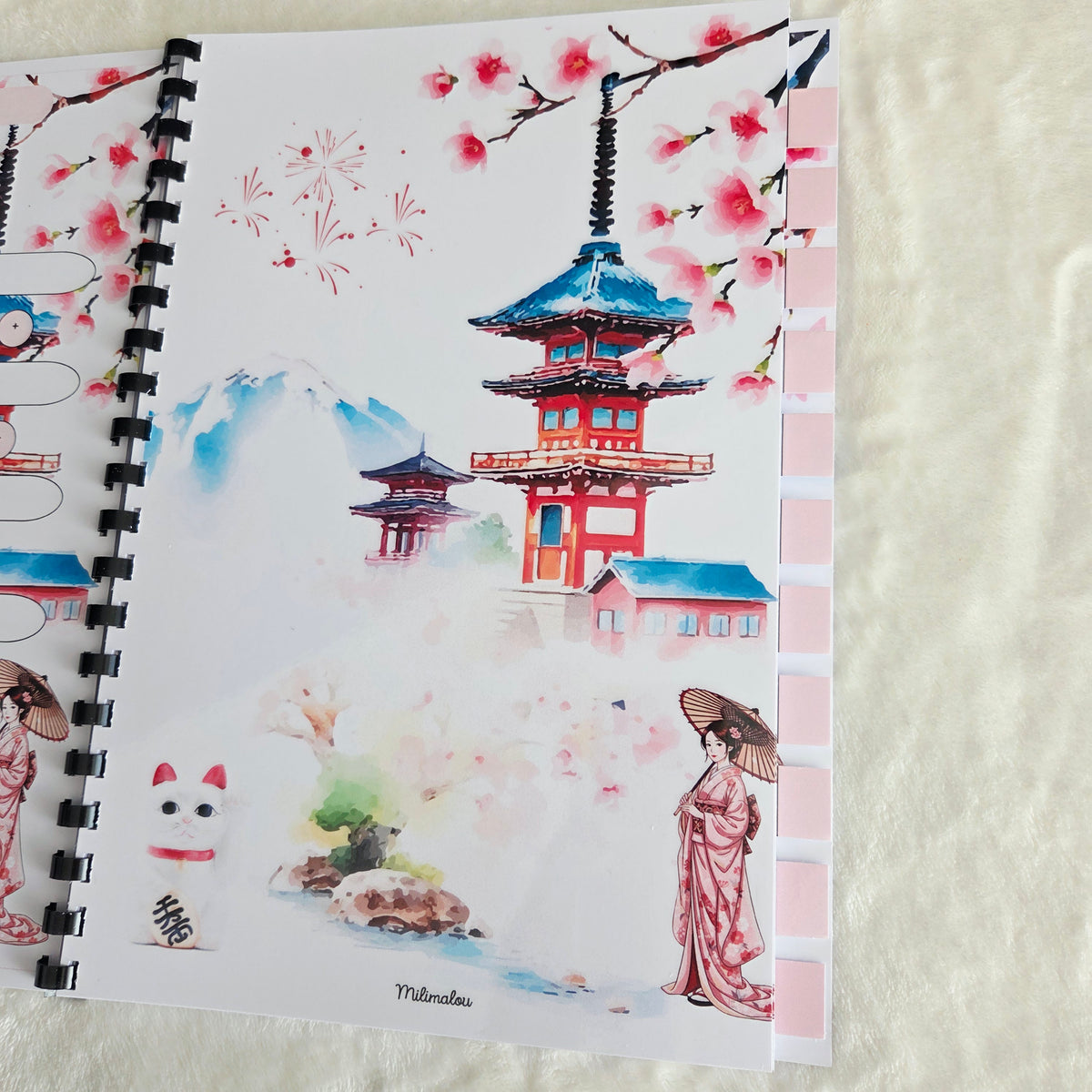 Budget 12 mois Japon
