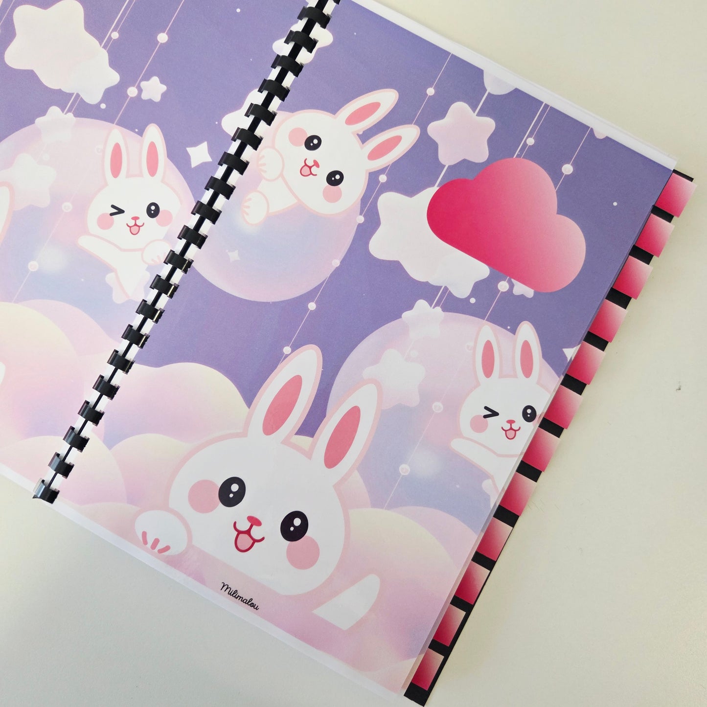 Budget 12 mois Kawaï Lapin