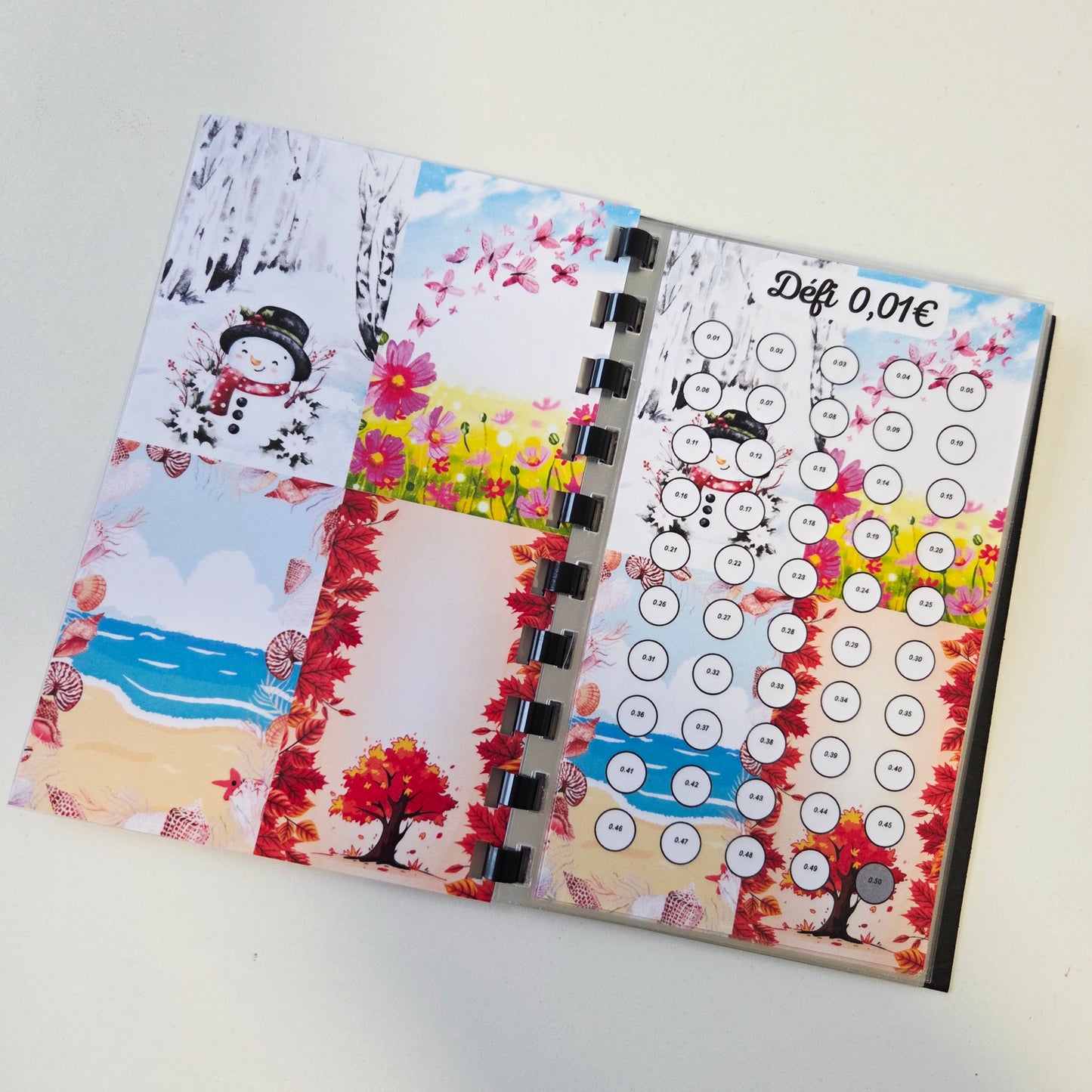 Mes Défis € Saisons