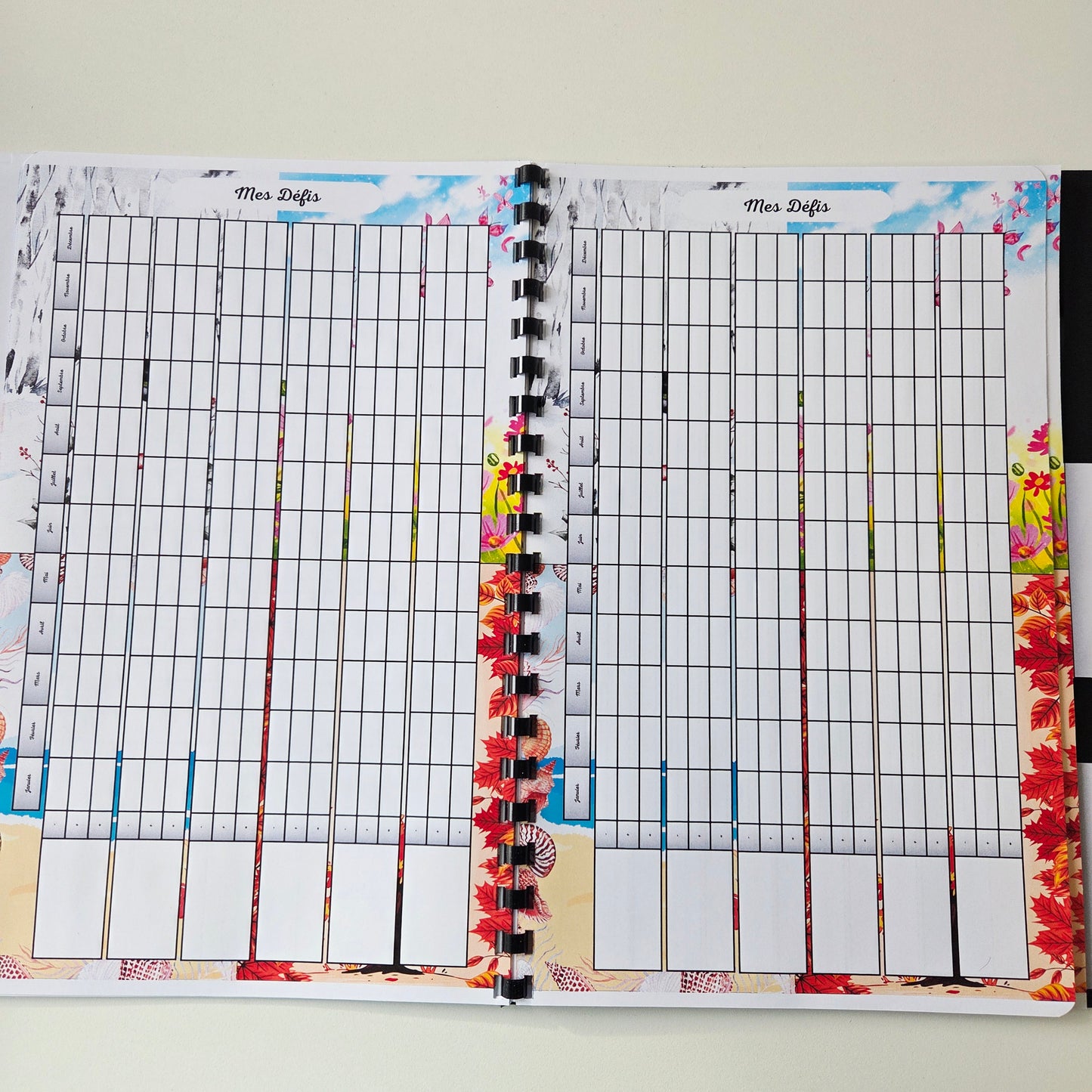 Budget Annuel Saisons