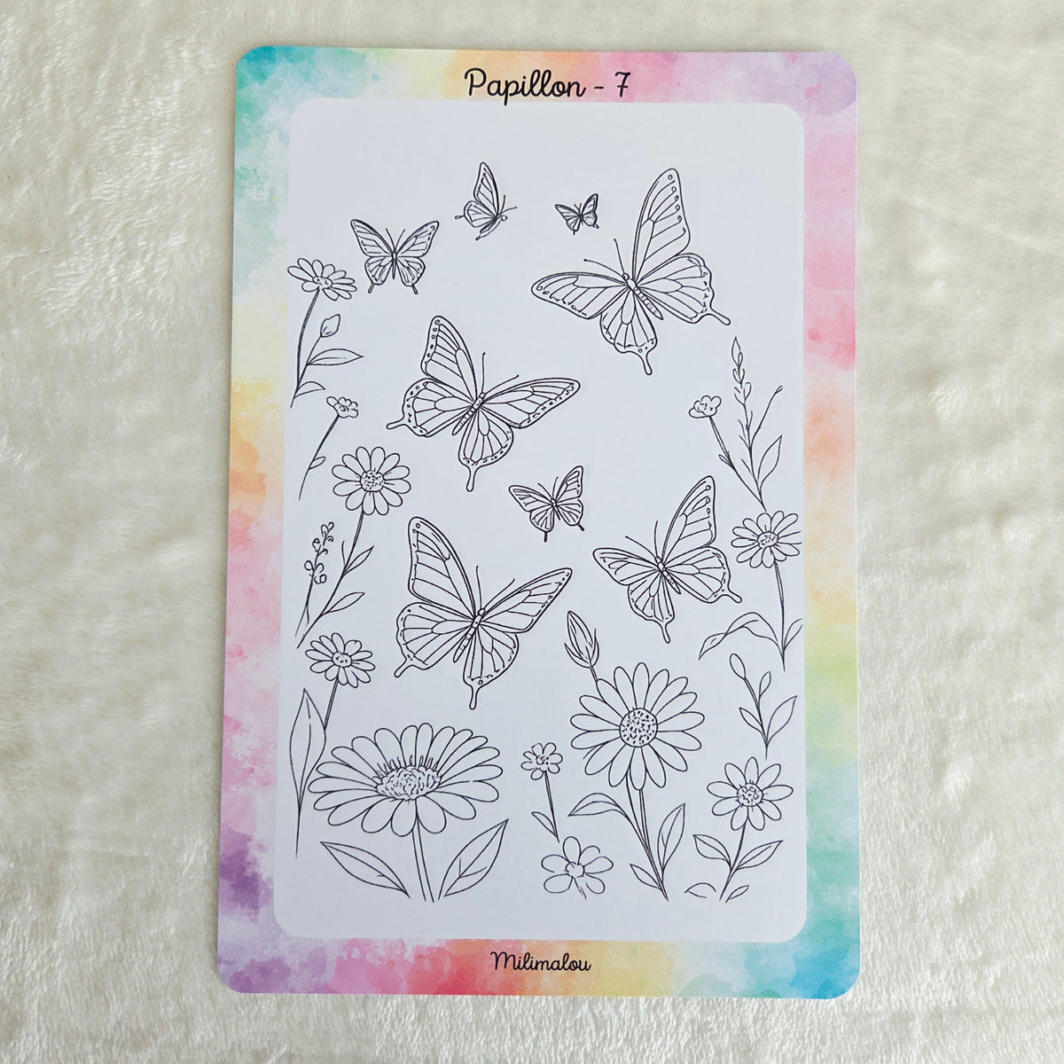Colo Papillon A5 (Lot de 10)