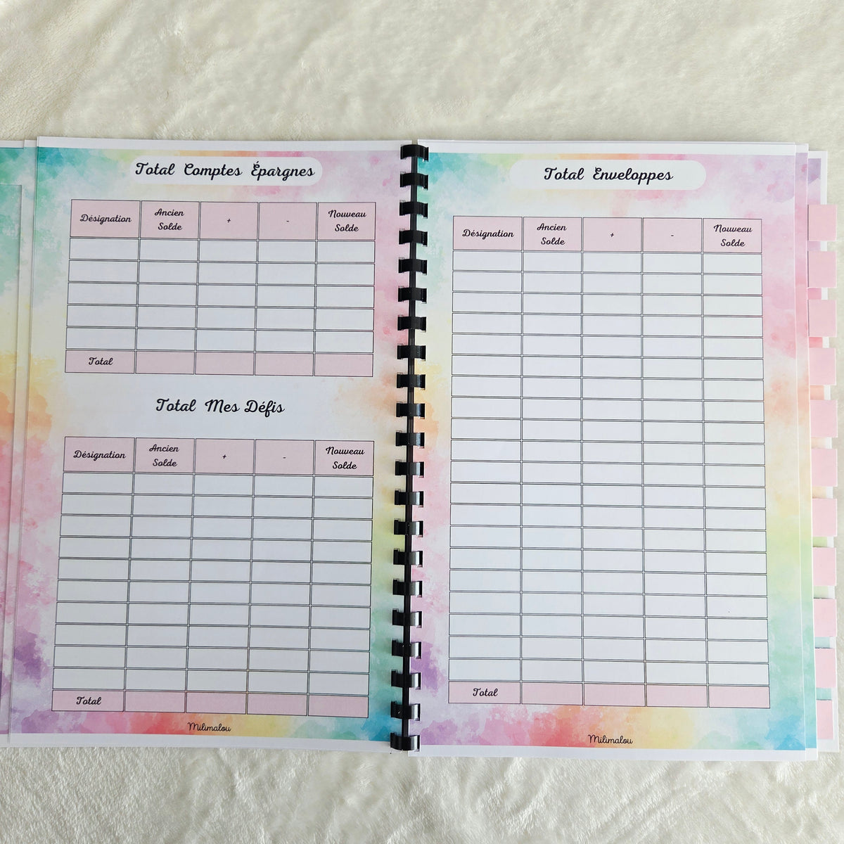 Budget 12 mois Arc en Ciel