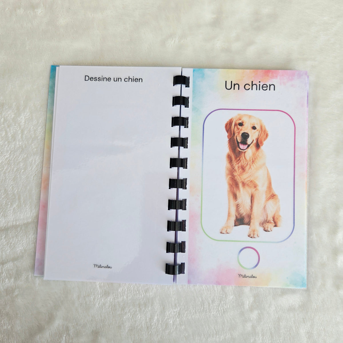 Cherche et Trouve au Parc