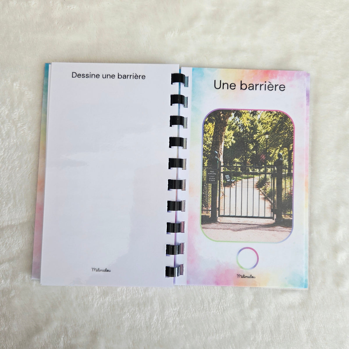 Cherche et Trouve au Parc